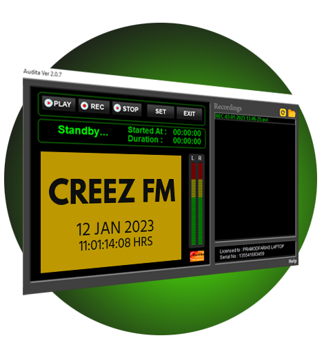 Audio logging